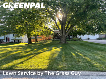 Grass Cut nearby Medina, OH, 