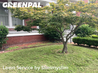 Lawn Maintenance nearby Norfolk, VA, 