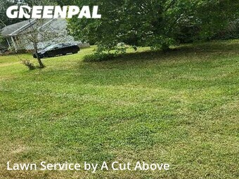 Yard Cutting nearby Smyrna, TN, 