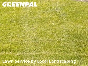Lawn Cutting nearby Marion, OH, 