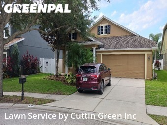 Yard Mowing nearby Tampa, FL, 