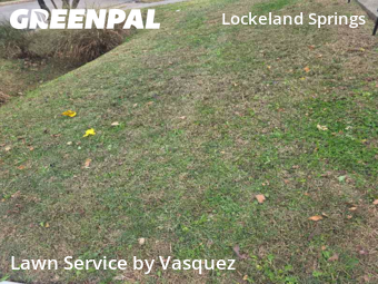 Lawn Service nearby Nashville, TN, 