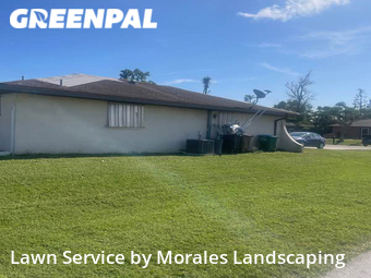 Yard Cutting nearby Cape Coral, FL, 