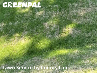 Yard Mowing nearby Bartlett, TN, 