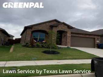Grass Cut nearby Fort Worth, TX, 