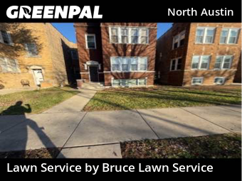 Grass Cut nearby Chicago, IL, 