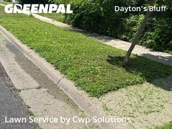 Grass Cut nearby Saint Paul, MN, 