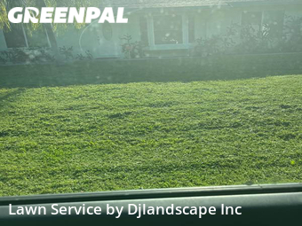 Grass Cut nearby Boynton Beach, FL, 