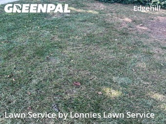 Lawn Cutting nearby Nashville, TN, 