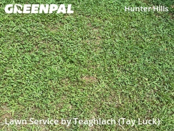 Lawn Mow nearby Atlanta, GA, 