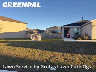 Grass Care in Marion, 78124, Lawn Maintenance by Grutas Lawn Care Ogs, work completed in Dec , 2025