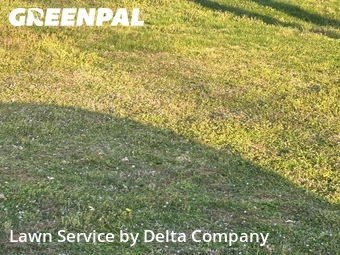 Lawn Mow nearby Bowling Green, KY, 