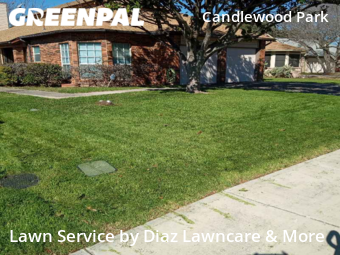 Lawn Cut nearby San Antonio, TX, 