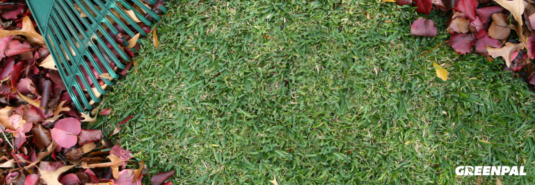 How to Price Leaf Removal: Expert Advice From Lawn Pros