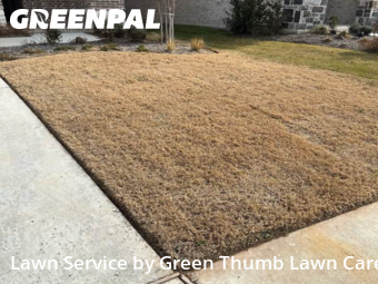 Lawn mowed in Lewisville, 75056