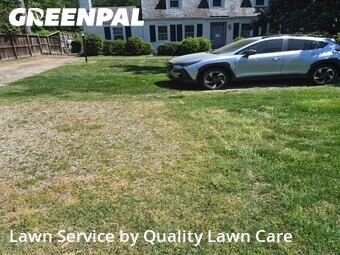 Lawn Care nearby Richmond, VA, 
