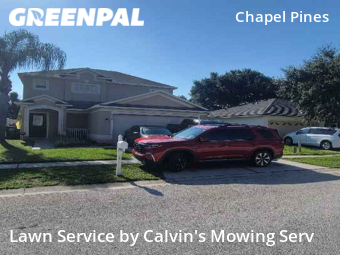 Lawn Mowing nearby Wesley Chapel, FL, 