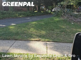 Lawn Service nearby Alexandria, DC, 