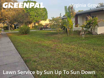 Lawn Mowing nearby Clearwater, FL, 