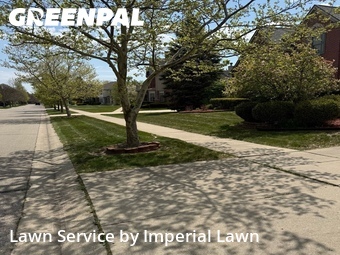 Lawn Cut nearby Canton, MI, 