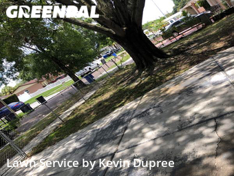 Lawn Mow nearby Tampa, FL, 