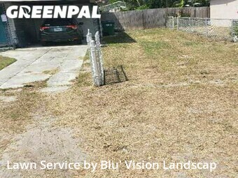 Lawn Cutting nearby Tampa, FL, 