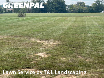 Grass Cut nearby Forest, VA, 