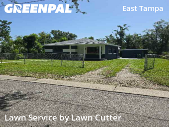 Lawn Mow nearby Tampa, FL, 