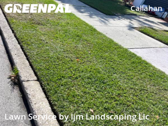 Grass Cut nearby Orlando, FL, 