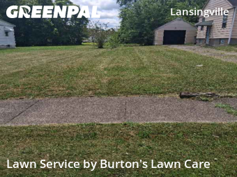 Lawn Mow nearby Youngstown, OH, 
