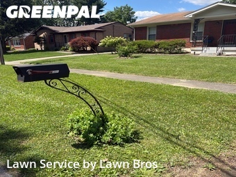 Lawn mowed in Jeffersontown, 40299