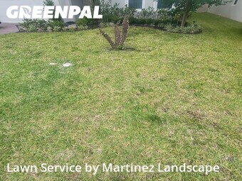Lawn Mowin Clermont,34714,Yard Cutting by Martinez Landscape, work completed in Jun , 2026