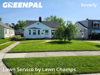 Yard Cutting nearby Toledo, OH, 