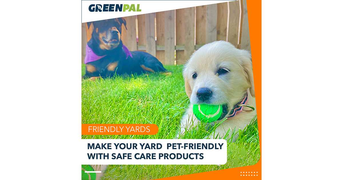 Pet-safe lawn care products: 3 things you must know | GreenPal