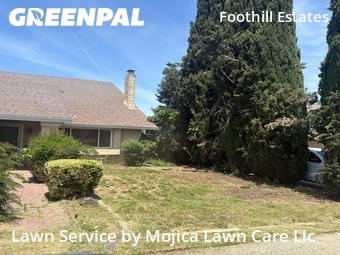 Lawn mowing work completed in Citrus Heights, CA