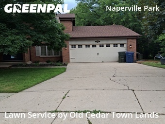 Grass Cut nearby Naperville, IL, 
