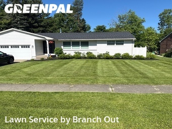 Lawn Maintenance nearby Lake View, NY, 
