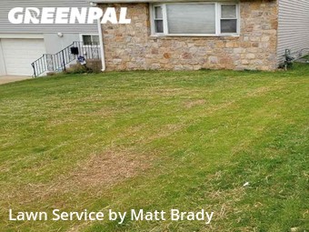Yard Upkeep in Willow Grove, 19090, Grass Care by Matt Brady, work completed in Nov , 2025