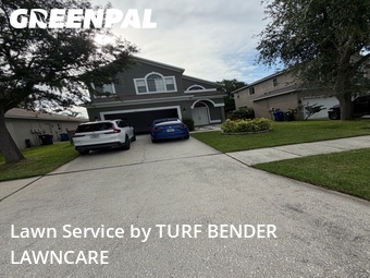 Lawn Maintenancein Oldsmar,34677,Grass Cut by TURF BENDER LAWNCARE, work completed in Jun , 2026