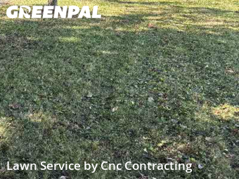 Yard Mowing nearby Struthers, OH, 