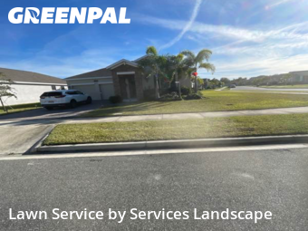 Lawn Cut nearby Kissimmee, FL, 