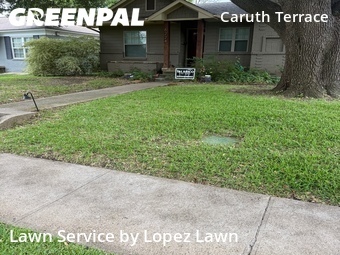 Lawn Cut nearby Dallas, TX, 