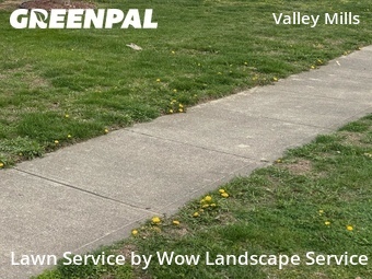 Lawn Cut nearby Indianapolis, IN, 