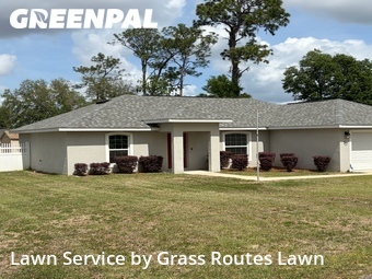 Grass Cut nearby Ocala, FL, 
