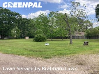Yard Cutting nearby Baton Rouge, LA, 
