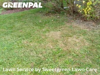 Grass Cutting nearby Pittsburgh, PA, 