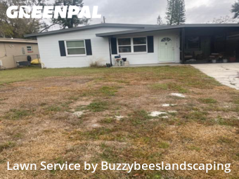 Lawn mowed in Gulfport, 33707