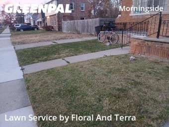 Yard Care Services in Detroit, 48224, Lawn Care by Floral And Terra , work completed in Nov , 2025