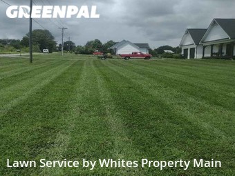 Lawn Mowing nearby Greenback, TN, 