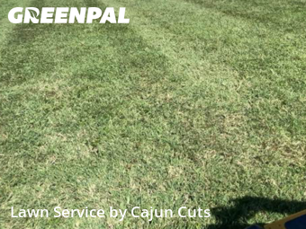 Lawn Service nearby Walterhill, TN, 